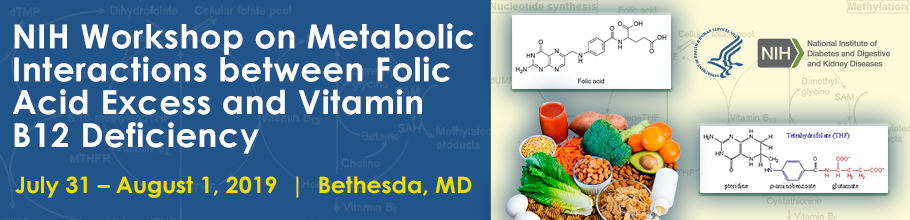 NIH Workshop On Metabolic Interactions Between Folic Acid Excess And ...