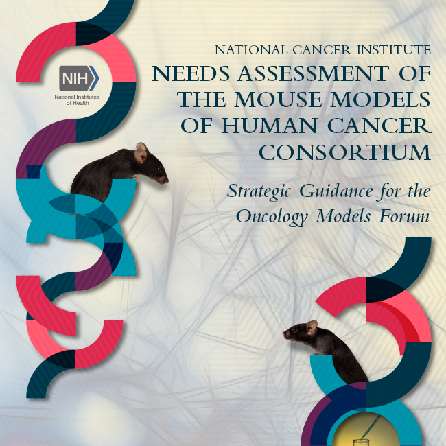 Needs Assessment and Strategic Guidance for the Oncology Models Forum