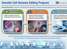 Somatic Cell Genome Editing Program