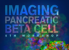 Imaging the Pancreatic Beta Cell, 5th Workshop