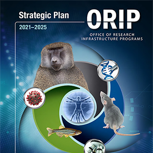 ORIP Strategic Plan 2021–2025
